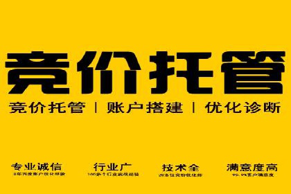 百度SEO推广公司案例分析：成功案例解析